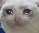 sad sad