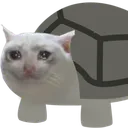 carl_sadcat