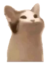 GASP