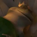 diesfrompeak