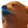 hk_aeaaa Discord emoji