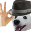 perrofino Discord emoji