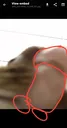 dick_beak
