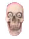 skull skull