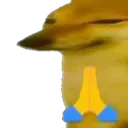 dorime