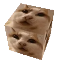 SCcube SCcube