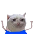 SCGpeepo SCGpeepo