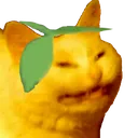SCWlemons SCWlemons