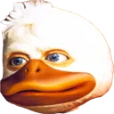 howard