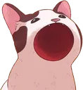 SCbop6 SCbop6