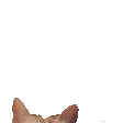 SChey