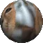 SCfloppaspin