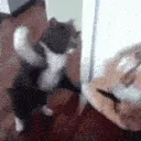SCviolence SCviolence