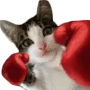 SCpunch2 SCpunch2