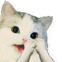 SCcatCLAP