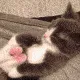 SCstretch SCstretch
