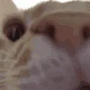 SCmwah