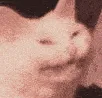 SCWzoom SCWzoom
