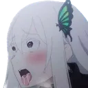 echidnaahegao