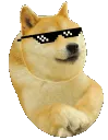 dogebean