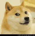 shadesdoge