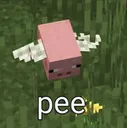 pee