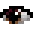 eye_curious