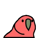 playcatch_parrot_reverse