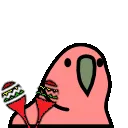 maracas_parrot