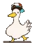 duckdance