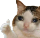 catcry Discord emoji