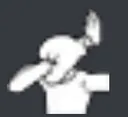 facepalm