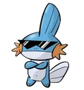 mudkipswag