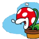 SleepyPlant SleepyPlant