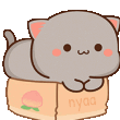 uwucatbox Discord emoji