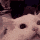 AAbuRob_cateeeeeeAhhhh Discord emoji