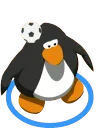pelota
