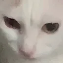 twinkie_sad twinkie_sad