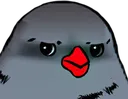 FR0GE_AnnoyedBird