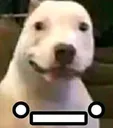 __ __