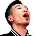 WallacePog