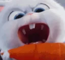 Carrot_Be