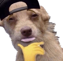 aha_dog Discord emoji