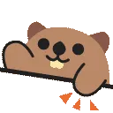 beaverpatty