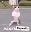 si