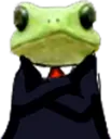 hs_sapitoelegante