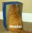 BD_catNostoi