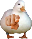 duckyou
