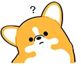 fb_corgiconfused