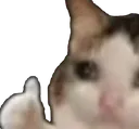 crycat1